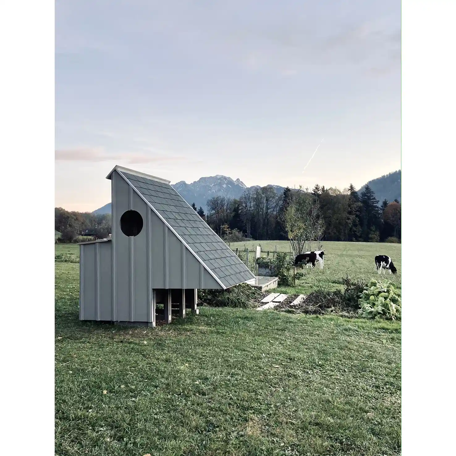 AGRICOLE_Poulailler familial_Ouvert