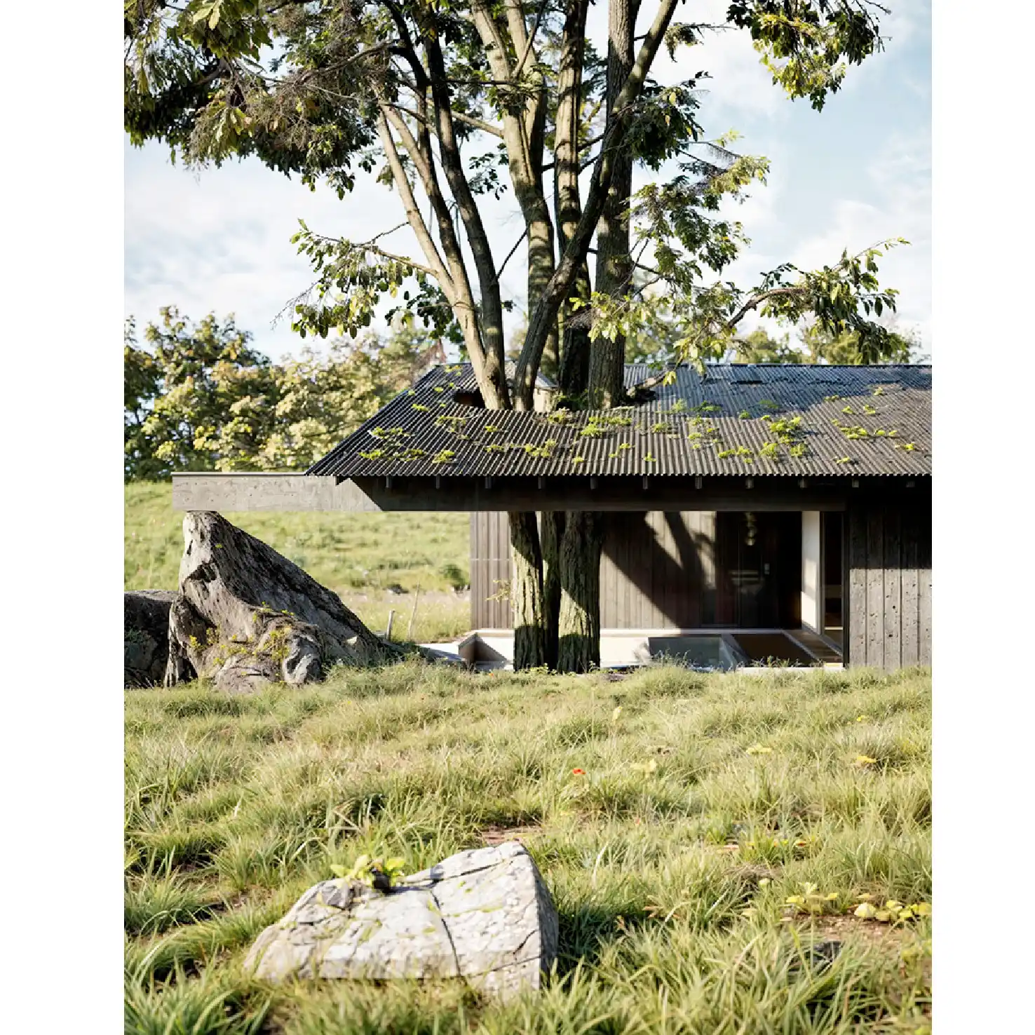 LOGEMENT_Maison à coeur ouvert_Jardin