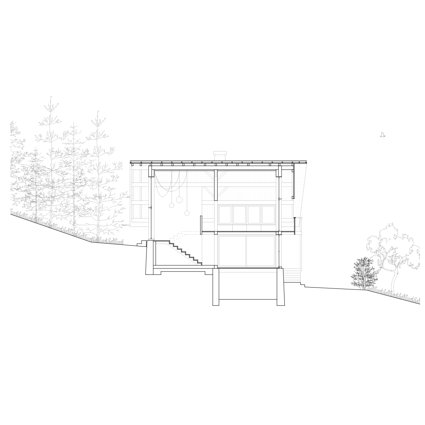 TRANSFORMATION_Renovation d'un chalet a Abondance_Coupe